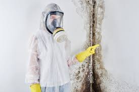 Best Environmental Consulting for Mold Prevention  in West Odessa, TX